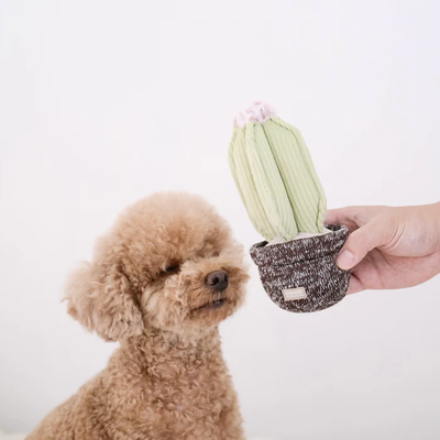Lambwolf Collective - Cactus Dog Toy