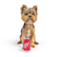 Huxley & Kent - Tiny Tuff - Pup 'N Pop Dog Toy