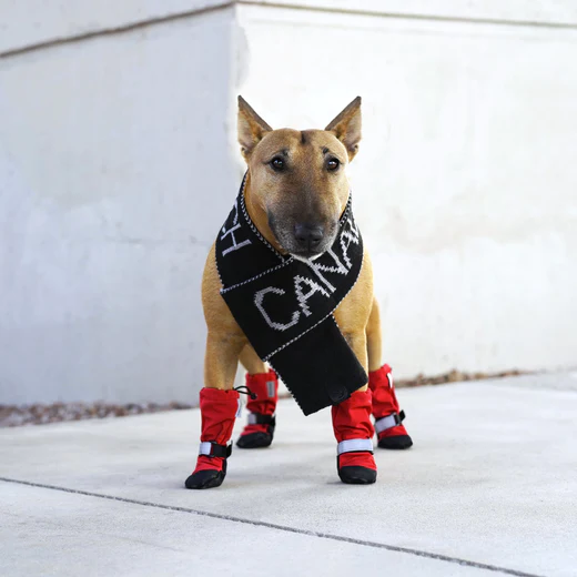 Canada Pooch - Soft Shield Boots