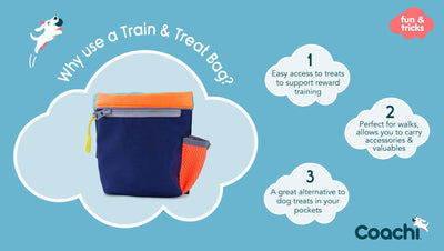 Company of Animals - Train & Treat Bag