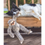 Fluff & Tuff - Tico Sloth