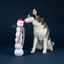 Fringe - Snowball Party Large Snowman Dog Toy
