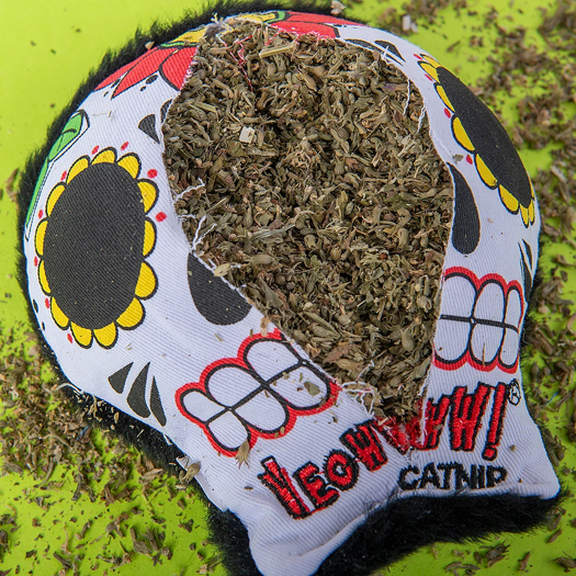 Yeowww! - La CAT-rina Catnip