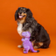 Fringe - Don't Be a Drag-On Dog Toy