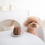Lambwolf Collective - Canele Dog Toy