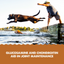 Grizzly Pet Products - Hip & Joint Supplement