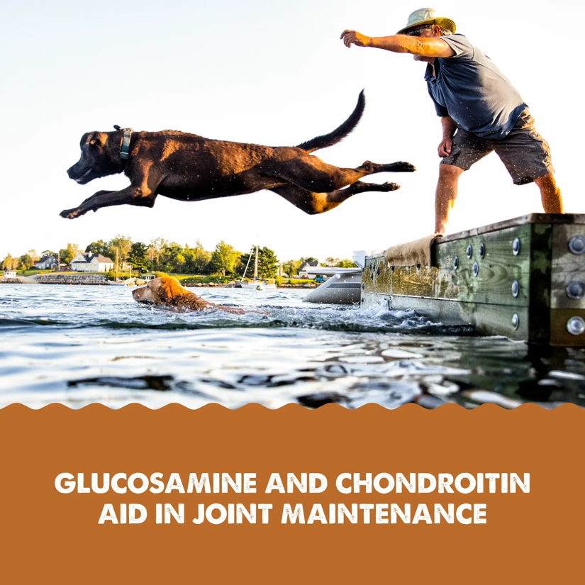 Grizzly Pet Products - Hip & Joint Supplement