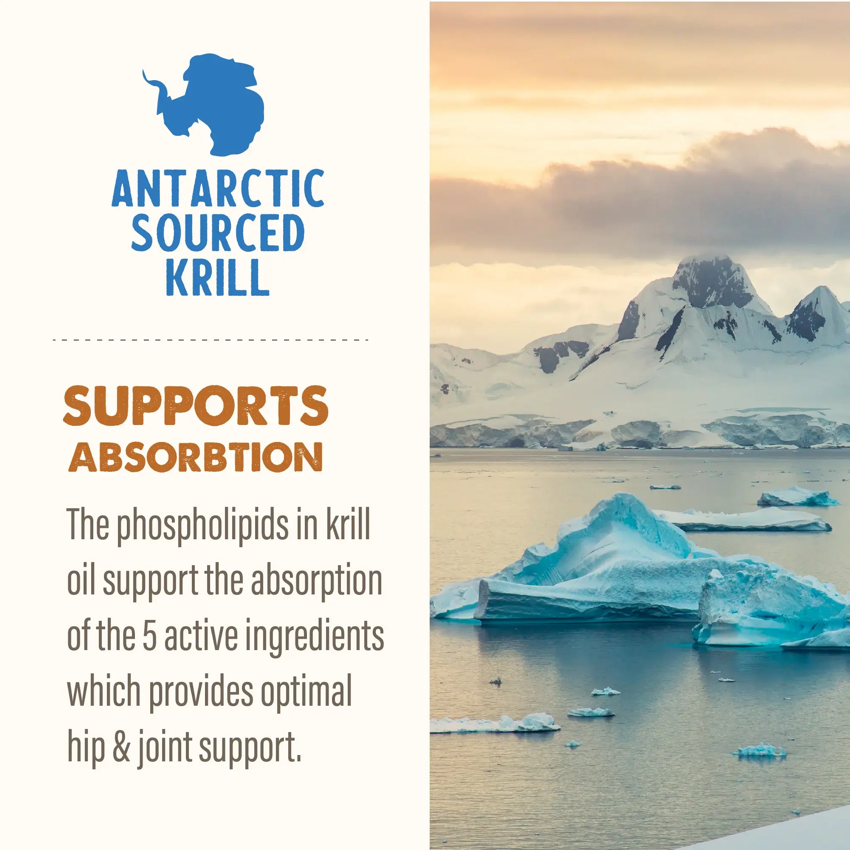 Grizzly Pet Products - Hip & Joint Supplement