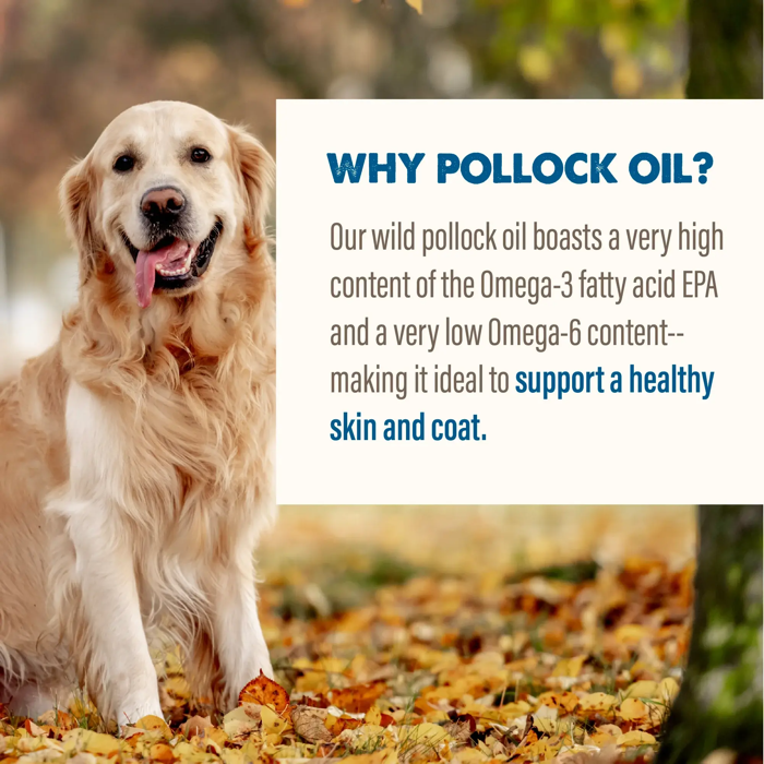 Grizzly Pet Products - Pollock Oil Supplement
