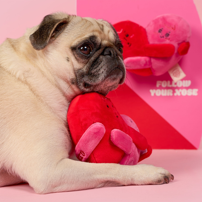 The Furryfolks - Love Locked Nosework Toy