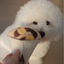 Lambwolf Collective - Crepe Dog Toy