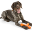 West Paw - Skamp