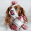 Lambwolf Collective - Saucisson Sec Dog Toy