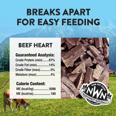 Northwest Naturals - Beef Heart Freeze-Dried Treats - Bulk