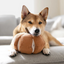 Lambwolf Collective - Cindarella Dog Toy