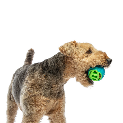 Guru - Pocket Ball