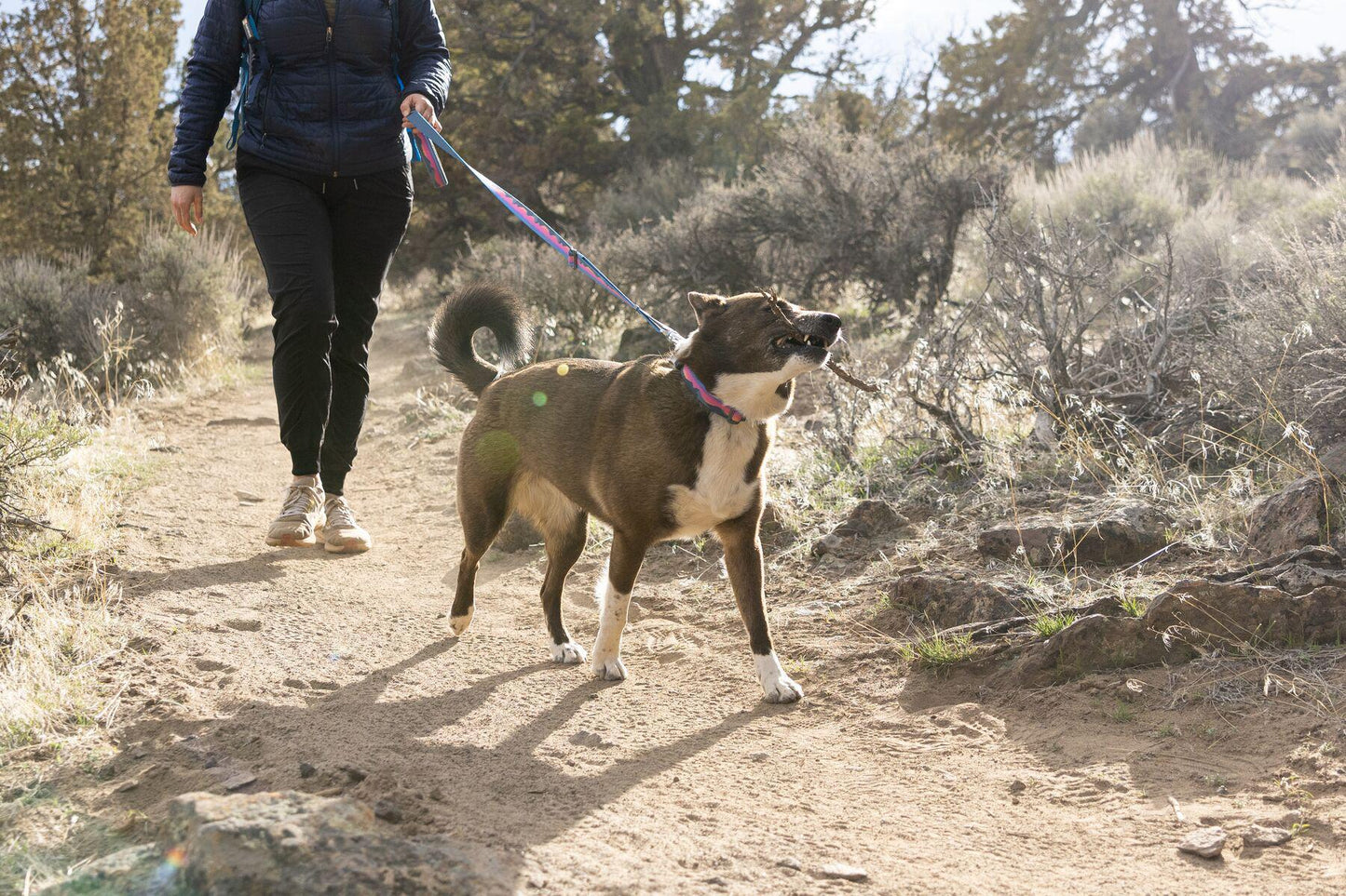 Ruffwear - Crag Collar - Alpine Dusk