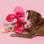 The Furryfolks - Love Locked Nosework Toy