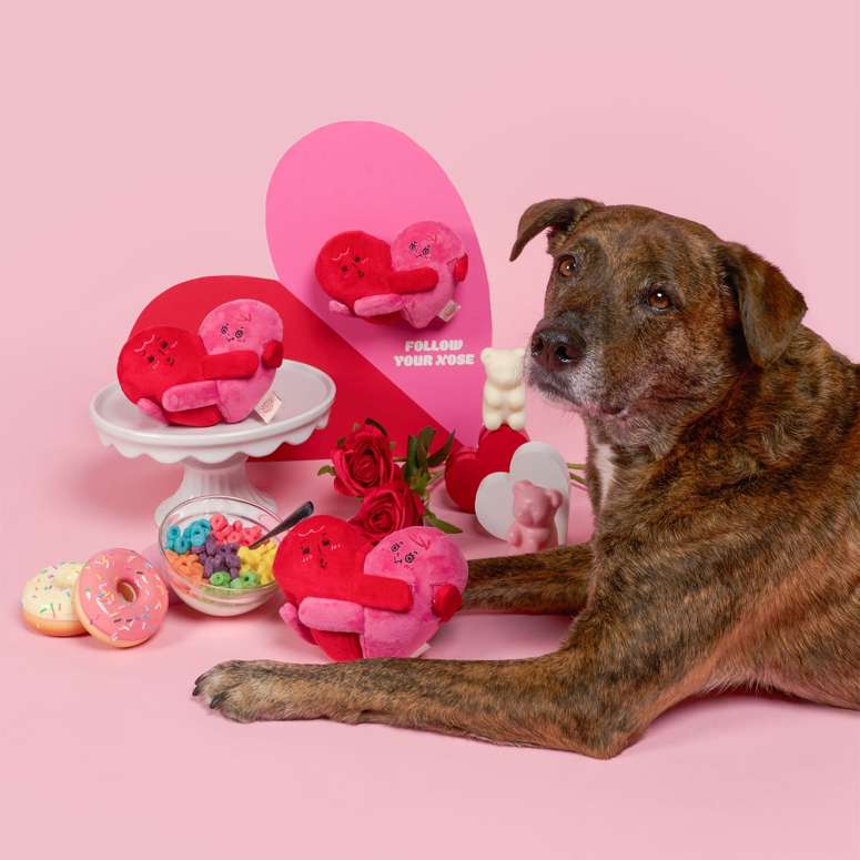 The Furryfolks - Love Locked Nosework Toy