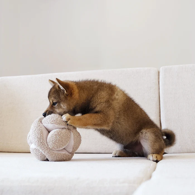 Lambwolf Collective - Monti Dog Toy