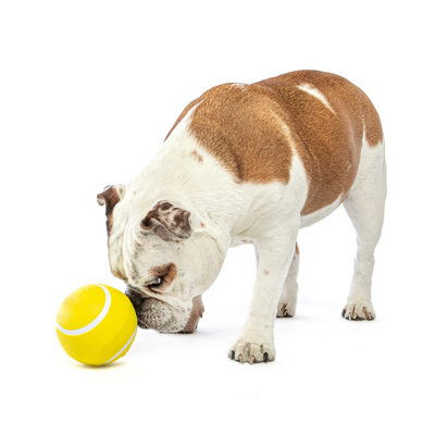 Guru - Giggling Tennis Ball
