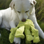 HuggleHounds - Octavie Octopus Knottie Plush Dog Toy