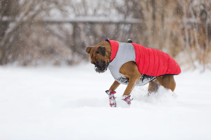 Pawsh Pads - Dog Boots