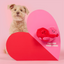 The Furryfolks - Love Locked Nosework Toy