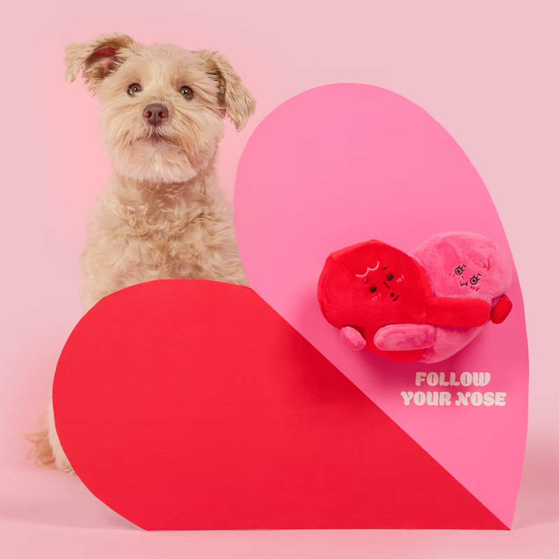 The Furryfolks - Love Locked Nosework Toy