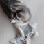 Lambwolf Collective - Trout Burrow & Snuffle Dog Toy