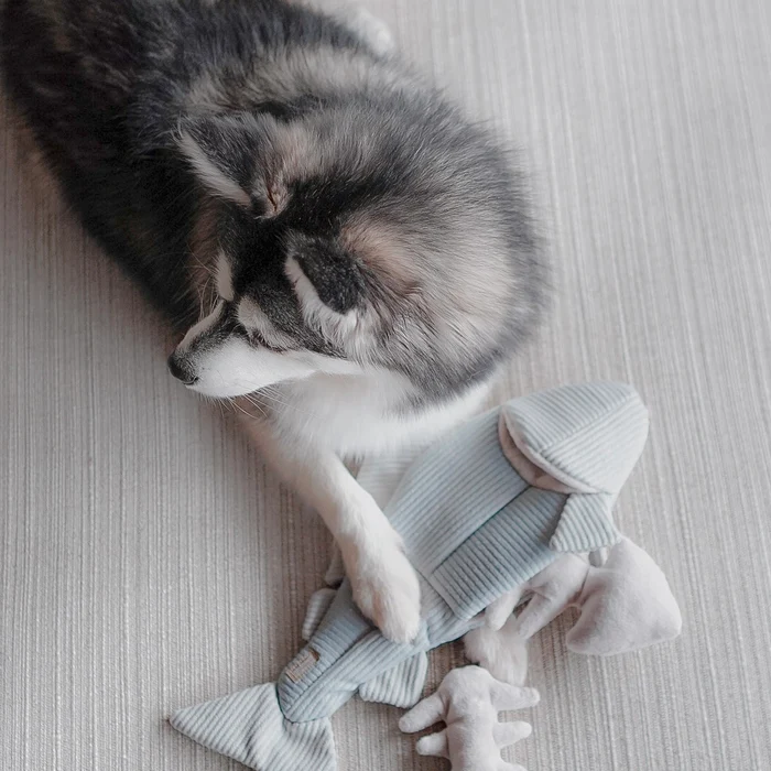 Lambwolf Collective - Trout Burrow & Snuffle Dog Toy