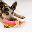 P.L.A.Y. - Pup Cup Café, Doughboy Donut