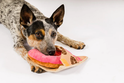 P.L.A.Y. - Pup Cup Café, Doughboy Donut