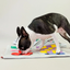 The Furryfolks - Newspaper Nosework Toy