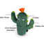 P.L.A.Y. - Blooming Buddies, Prickly Pup Cactus