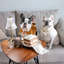 Lambwolf Collective - Latte Pop Dog Toy