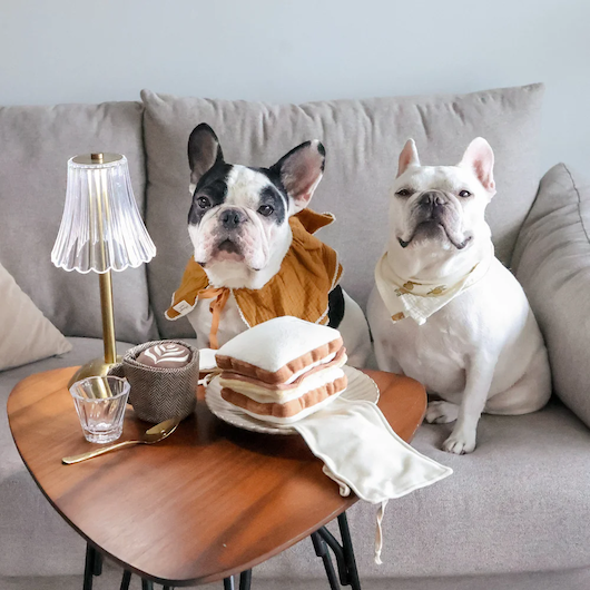 Lambwolf Collective - Latte Pop Dog Toy