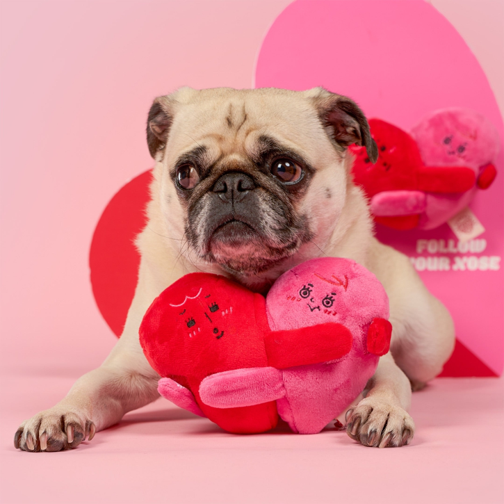 The Furryfolks - Love Locked Nosework Toy