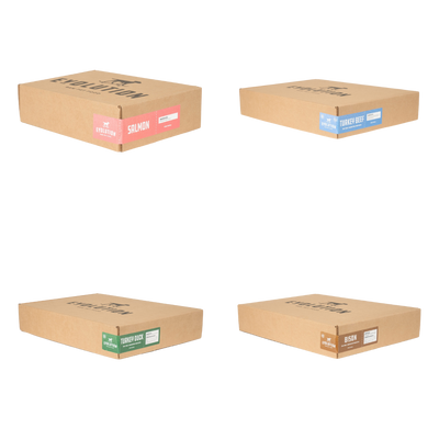 Evolution Raw - All Meat Patties - Raw Dog Food