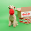 The Furryfolks - Apple Nosework Dog Toy