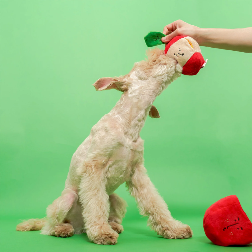 The Furryfolks - Apple Nosework Dog Toy