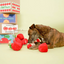 The Furryfolks - Apple Nosework Dog Toy