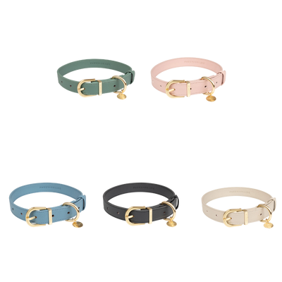 Fuzzyard Life - Atelier Dog Collar