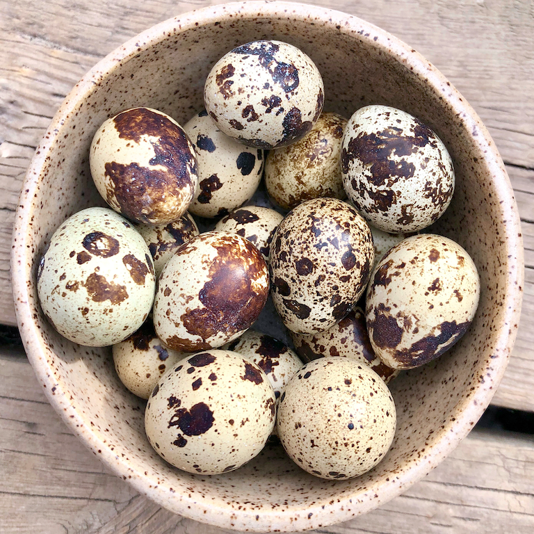 Big Country Raw - Frozen Quail Eggs