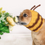 Zoo Snoods - Bumble Bee