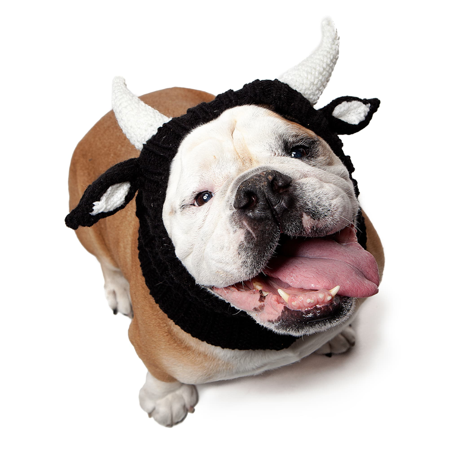 Zoo Snoods - Bull