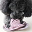 Lambwolf Collective - Cabbage POP Dog Toy