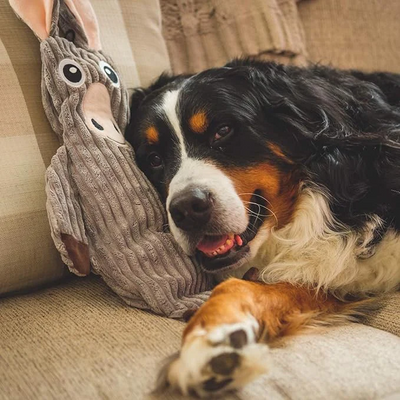 Tender Tuffs - You-Fill Donkey