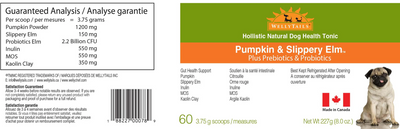 WellyTails - Gut Probiotics & Prebiotics - Pumpkin & Slippery Elm
