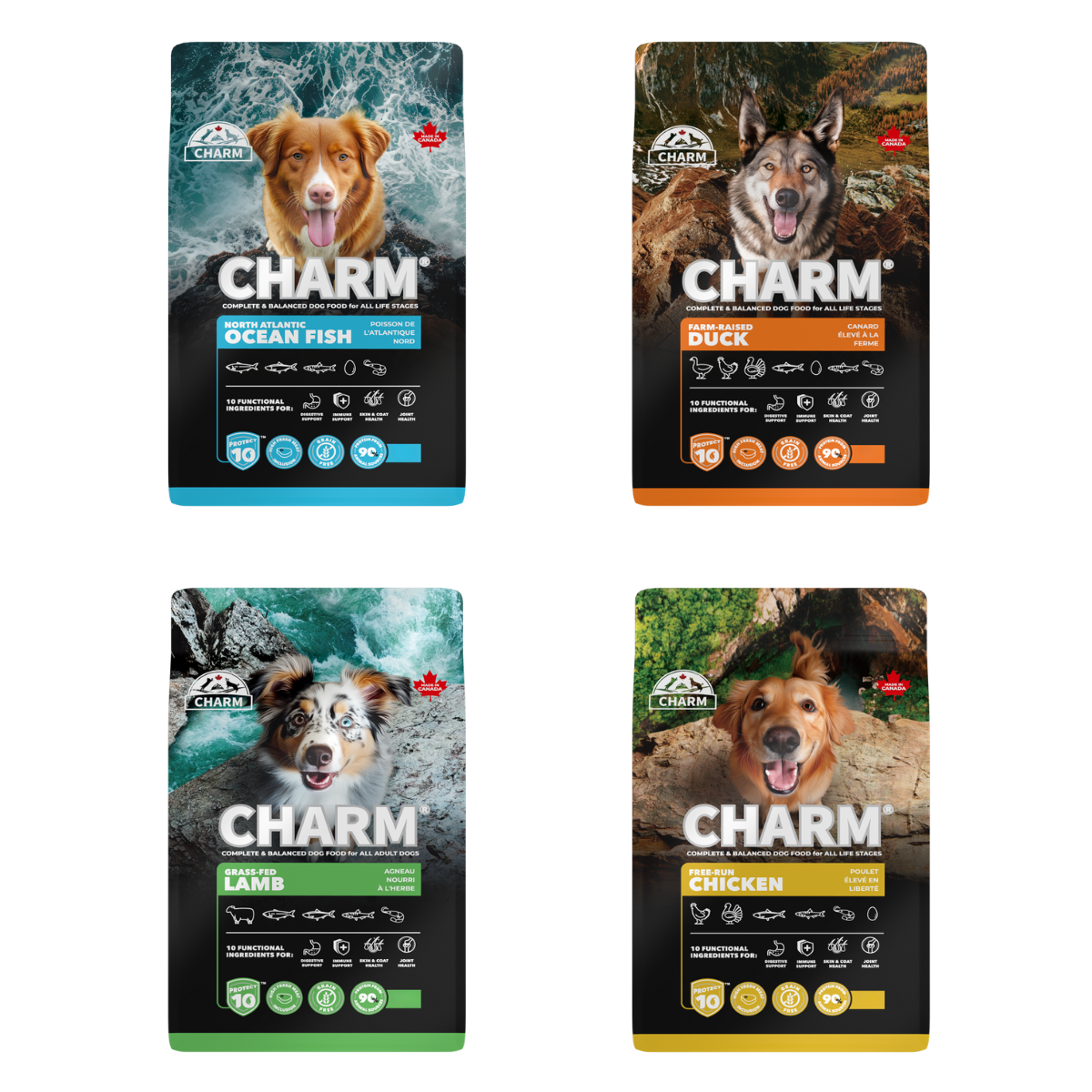  Charm - Dry Dog Food